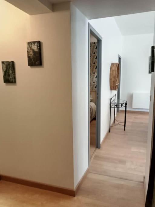 Gonnelles Appartement T3 Centre Ville Rdc D アジャン エクステリア 写真